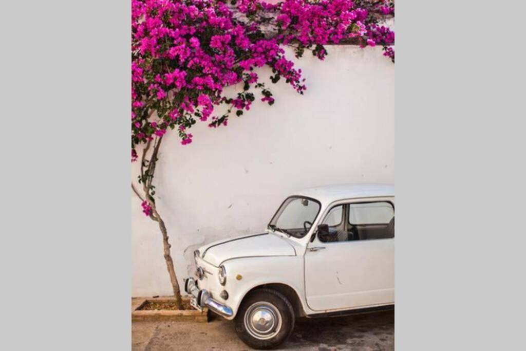 Mojacar Pueblo - Traditional Village House - The Old Jewish Quarter Esterno foto